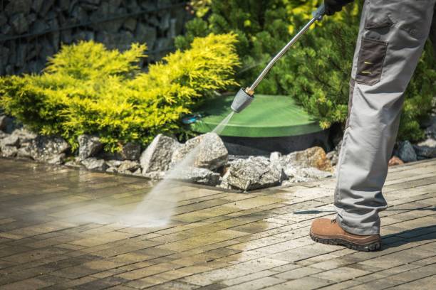 Best Factory Floor Cleaning  in Shingletown, CA