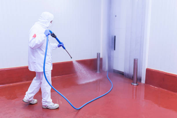 Boat and Dock Cleaning in Shingletown, CA