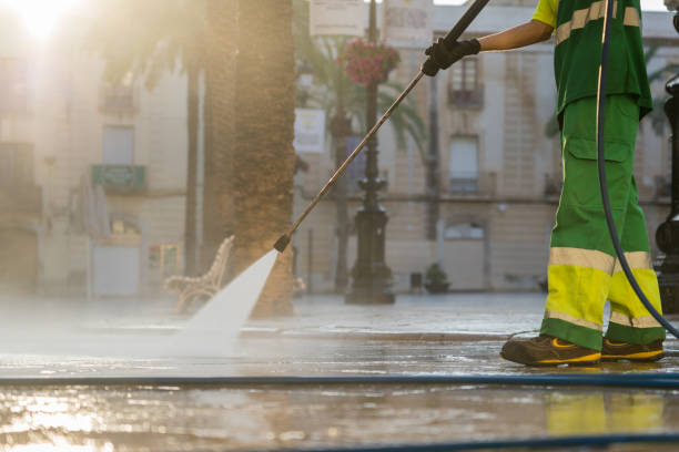 Best Dumpster Area Cleaning  in Shingletown, CA